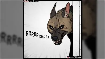 Les autres animaux, chien, chat et raton laveur, ont peur de Brutus.