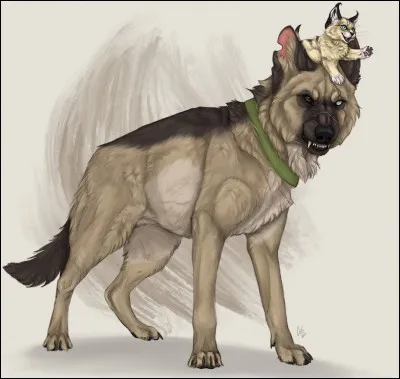 Brutus a deux cicatrices. Où sont-elles ?