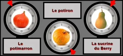 Si je vous dis : Cucurbitacée. Quel code vous semble juste ?