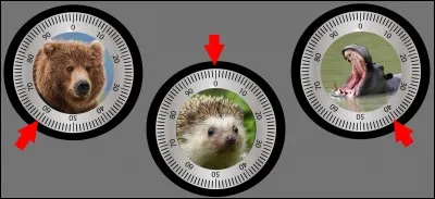 Si je vous dis : Plantigrade. Quel code vous semble juste ?
