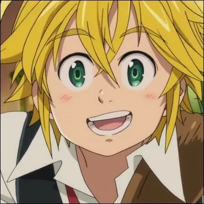 Quelle âge a Meliodas ?