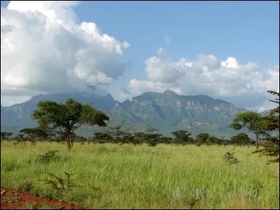 Winston Churchill m'a surnommée "la perle de l'Afrique",
je suis ?