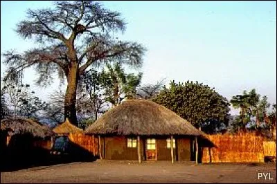 On me surnomme l'arbre de vie, tant je peux servir d'aliment (racines, feuilles, fruit, etc) que de plante médicinale ou à fabriquer divers objets (cordages...) je suis le :