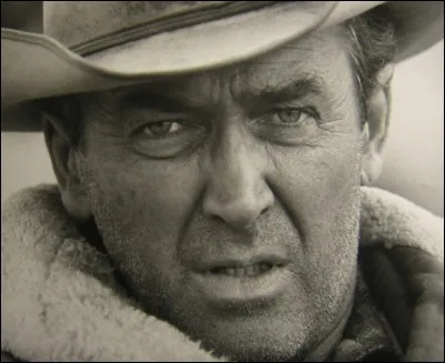 Qui est cet acteur ?