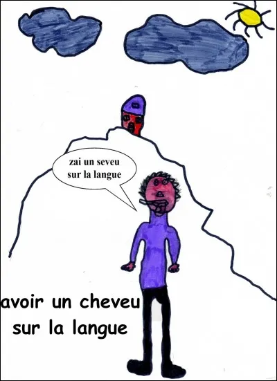 Si je vous dis « Avoir un cheveu sur la langue », vous répondez :