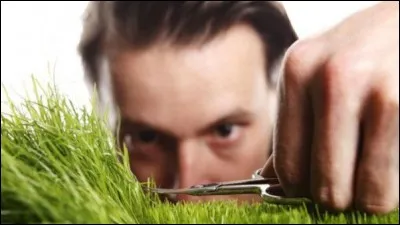 Si je vous dis « Couper les cheveux en quatre », vous répondez :