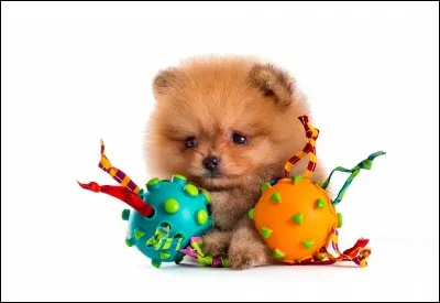 Si je vous dis « Se faire des cheveux blancs », vous répondez :