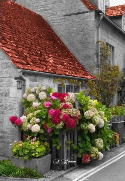 Compl&eacute;tez encore : "Nous nous regarderons, assis sous notre treille,Avec de petits yeux attendris et brillants,Lorsque tu seras vieux et que je serai vieille,Lorsque mes cheveux blonds seront...