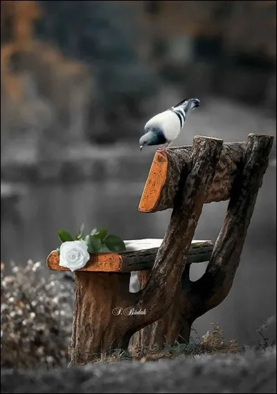 Encore un petit effort pour compl&eacute;ter : Un rayon descendra, d'une caresse douce,Parmi nos cheveux blancs, tout rose, se poser,Quand sur notre vieux banc tout verd&acirc;tre de mousse,Sur le banc d'autrefois nous reviendrons....