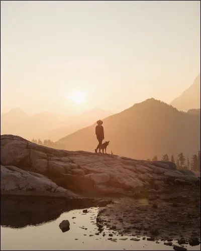 Les chanteurs du groupe ont-ils continué leur carrière solo ?