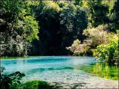 La source d'eau "Blue Eye" est située dans mon pays.
