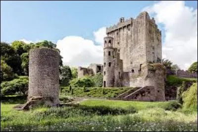 Le "château de Blarney" est visitable en...