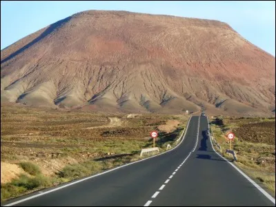 De quelle plante, connue pour ses vertus cosmétiques, l'île de Fuerteventura est-elle le premier producteur européen ?