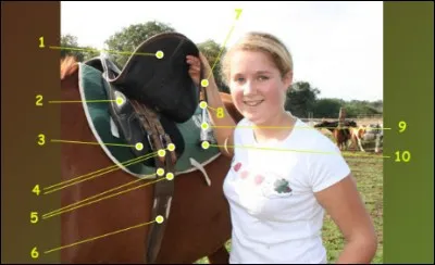 Sur la photo, le numéro 8 est...