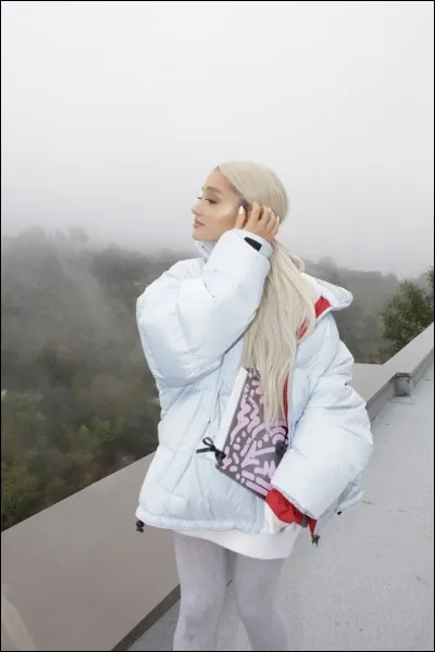 En quelle année commence-t-elle réellement sa carrière musicale ?