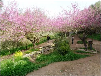 Où l'Illyrie antique se situait-elle ?