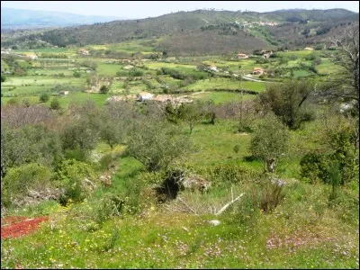 Dans quel pays actuel situez-vous l'antique Étrurie ?