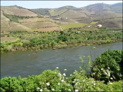 La Cyrénaïque se situait sur le pourtour méditerranéen, mais où exactement ?