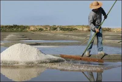 Comment appelle-t-on une personne qui travaille dans les marais salants ?