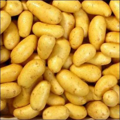 Laquelle de ces propositions n'est pas une varit de pomme de terre ?