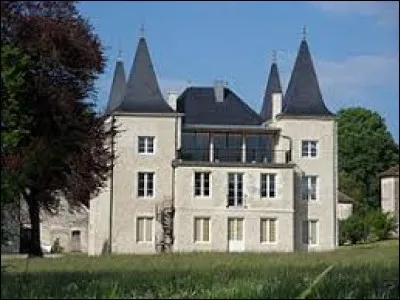 Je vous propose de partir &agrave; la d&eacute;couverte du ch&acirc;teau de Noiron. Petit village Haut-Sa&ocirc;nois de 57 habitants, il se situe dans l'ancienne r&eacute;gion ...