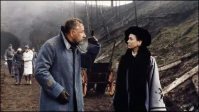 En 1920, le commandant Dellaplane (Philippe Noiret) est chargé de recenser les soldats disparus. Il rencontre Irène, une femme exigeante (Sabine Azéma) à la recherche de son mari. C'est ...
