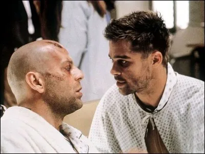 Bruce Willis incarne un personnage envoyé dans le passé ; il y rencontre Jeffrey Goines (Brad Pitt) fils d'un scientifique qui travaille sur les virus (Christopher Plummer). C'est ...