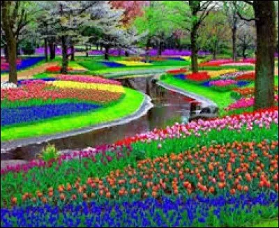 Où se situe le parc floral de Keukenhof ?