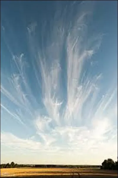 Comment appelle-t-on ces nuages ?