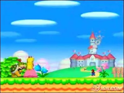 Dans ''New Super Mario Bros(DS)'', il y a une intro avec Mario et Peach. Si on l'a regarde plusieurs fois, Luigi peut faire une apparition dans cette intro.