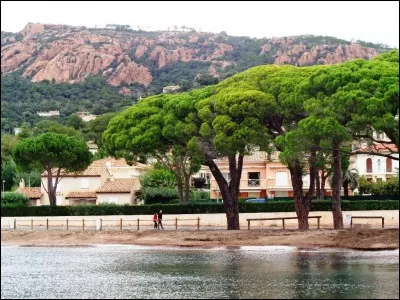 La bigamie est interdite chez nous. Dès lors, que se passe-t-il si, après mariage, il apparaît que l'un des époux avait contracté un premier mariage non encore dissous lors de la célébration du second ?