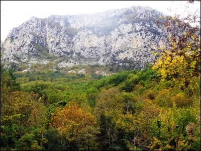 Parmi ces trois régimes matrimoniaux, lequel correspond au régime légal, celui qui s'applique par défaut si les époux n'ont rien prévu quant à la répartition de leurs biens ?
