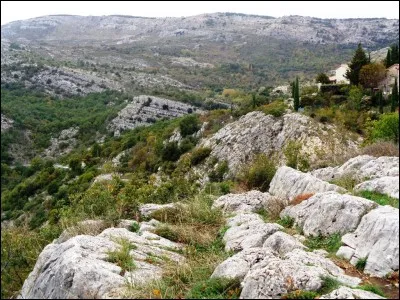 À quoi le contrat de mariage sert-il ?