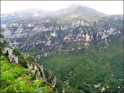 La séparation de fait finit, après un certain temps, par provoquer automatiquement la dissolution du mariage. Vrai ou faux ?