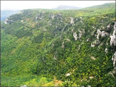 Juridiquement, il ne peut pas exister de viol entre époux. Vrai ou faux ?