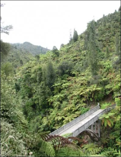 Il paraît que, là-bas, on l'appelle le « Bridge to Nowhere ». Mais où est-ce ?