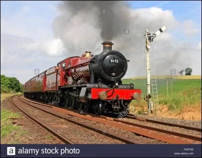 Tome 1 : dans le Poudlard express Hermione fait le voyage avec...