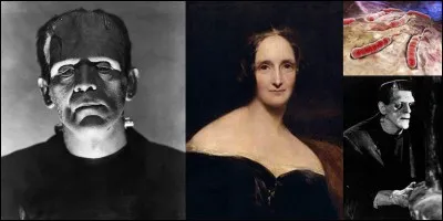 Littérature !
Mary Shelley est connue pour avoir écrit le roman « Frankenstein ou le Prométhée moderne ». Elle avait 18 ans ! On pense que Marie Shelley aurait eu plusieurs sources d'inspiration comme la perte de son enfant, les effets de la Révolution française et du règne de Napoléon 1e entre autres !
A vous de trouver la mauvaise proposition, celle qui n'aurait pas inspiré Marie Shelley !