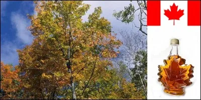 Attention ! Le Canada (et plus particulièrement le Québec) possède une réserve stratégique qui peut se révéler dangereuse pour une certaine catégorie de personnes ! Malgré cette menace, il semble que cette réserve puisse être utile à cette catégorie de personnes !
Quel est ce produit ?