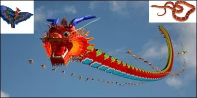 Vocabulaire, étymologie !
Durant votre jeunesse, peut-être avez-vous fait voler quelques « cerfs-volants ». Vous savez, ce « truc » que vous avez essayé de faire voler au bout d'un long fil !
A l'origine, comment appelons-nous le « cerf-volant » ?
Connaissez-vous la réelle origine géographique du MOT « cerf-volant » ?