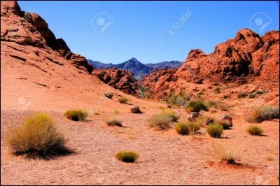 Où est ce désert ?