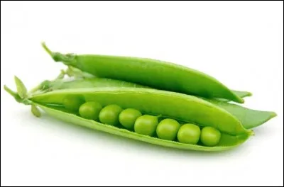 La photo te mettra sur la voie !