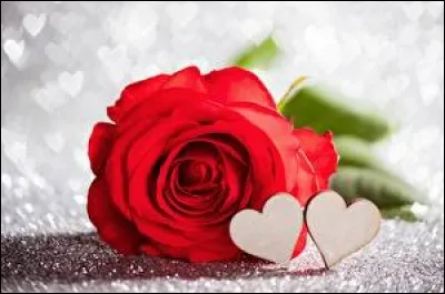 Lequel de ces hommes est l'auteur de "Nos étoiles contraires" ?