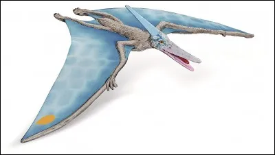 Comment se nomme cet animal ?