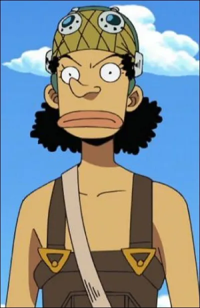 Qui s'est sacrifié à Skypiea pour sauver Usopp (d'Ener) ?