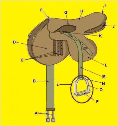 Comment appelle-t-on la partie de la selle où il y a la lettre I ?