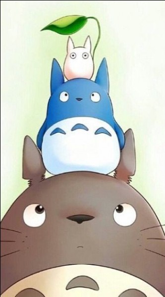 Les Totoros sont des esprits de la forêt apparus dans "Mon voisin Totoro". Il en existe trois différents. Quel est le nom du plus petit ?
