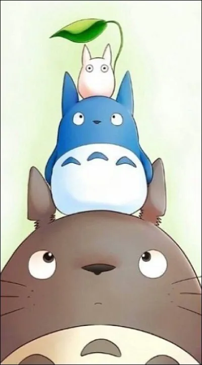 Les Totoros sont des esprits de la forêt apparus dans "Mon voisin Totoro". Il en existe trois différents. Quel est le nom du plus petit ?