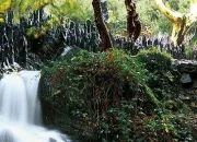 Quiz Culture G - Petite balade en forêt