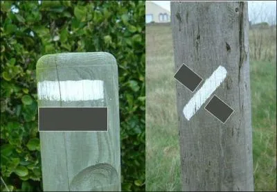 Avec le blanc, quelle couleur est utilise pour baliser les GR ?